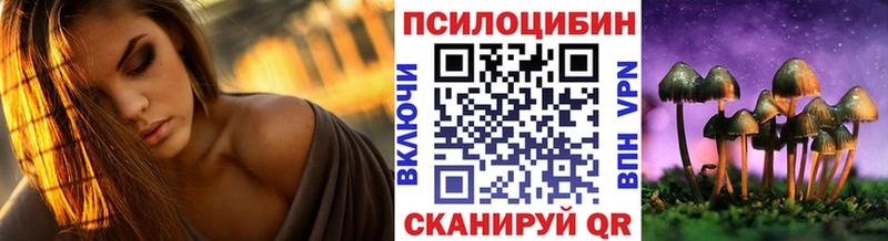 Псилоцибиновые грибы MAGIC MUSHROOMS  где продают   даркнет какой сайт  Кировск 
